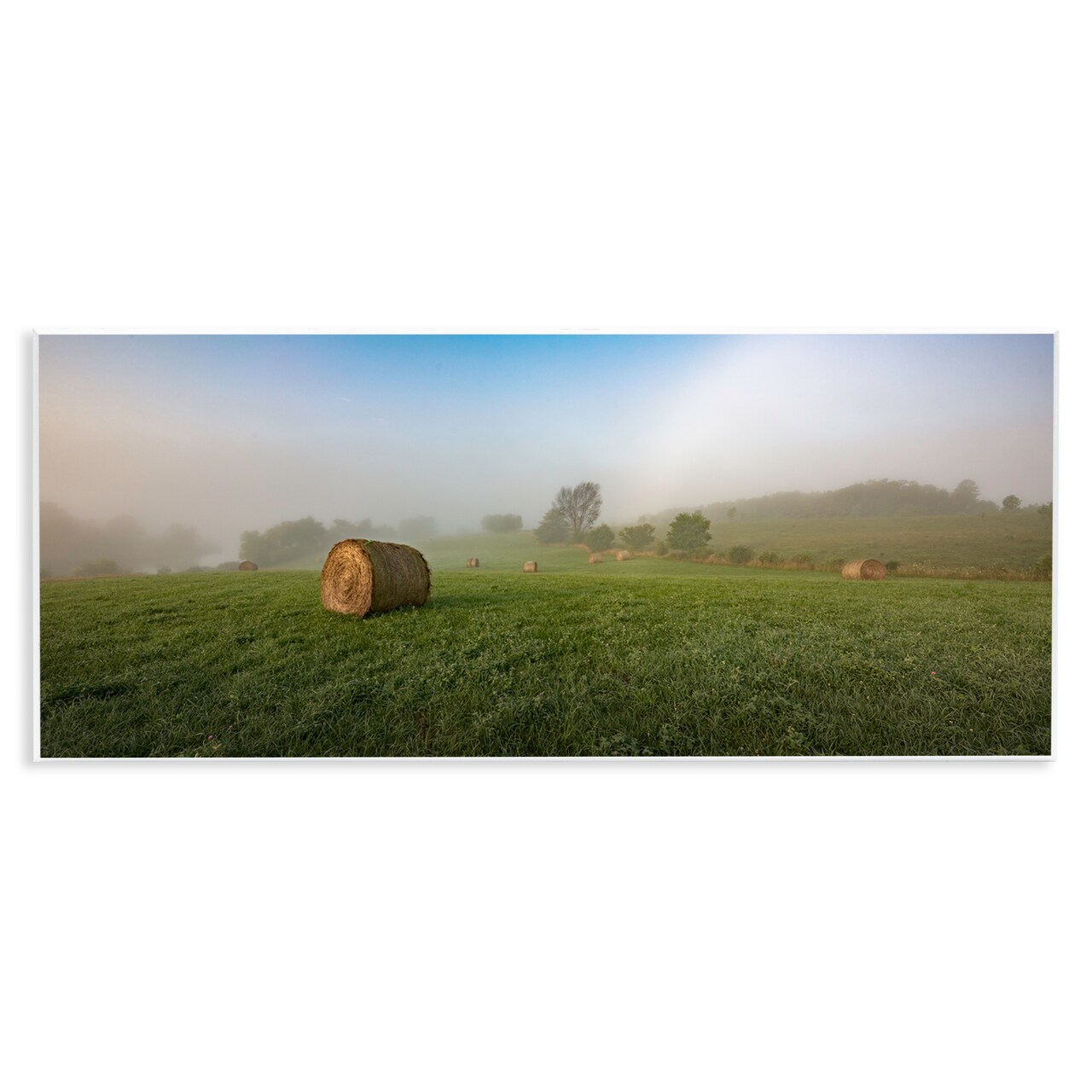 Stupell Industries Hay Bales Country Horizon Wall Plaque Art Design by Marty Hulsebos